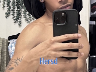 hersd 12x Gay