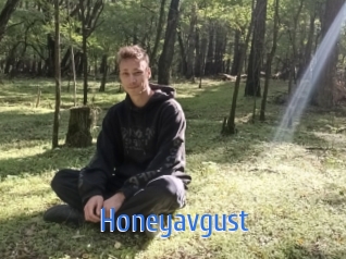 honeyavgust 12x Gay