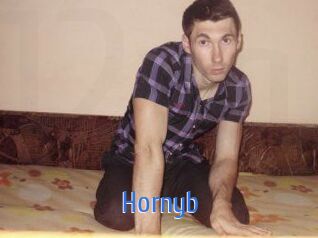 Hornyb