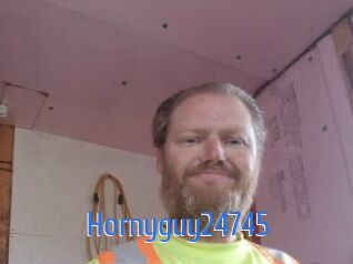 Hornyguy24745
