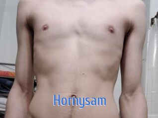 Hornysam
