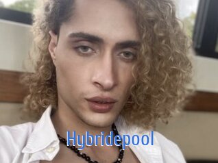 Hybridepool