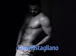 iamwillstagliano 12x Gay