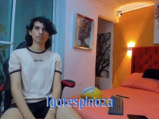 igorespinoza 12x Gay