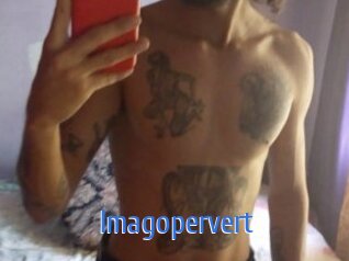 imagopervert 12x Gay