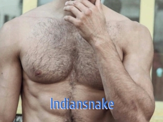 indiansnake 12x Gay
