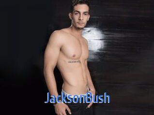 JacksonBush