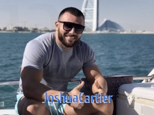 JoshuaCartier 12x Gay