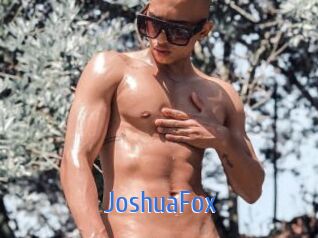 JoshuaFox