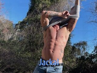 Jackal