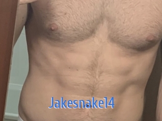 Jakesnake14