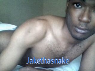 Jake_tha_snake