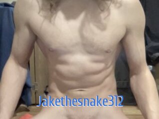 Jakethesnake312