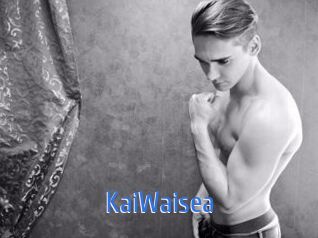 KaiWaisea 12x Gay