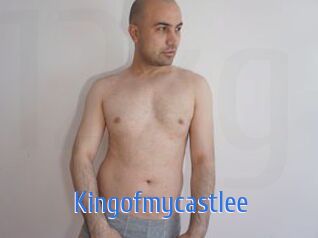 Kingofmycastlee 12x Gay