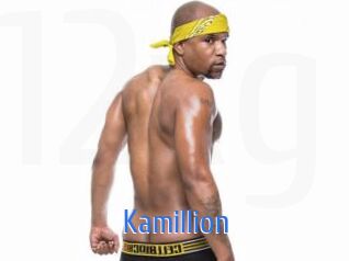 Kamillion