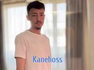 kanehoss 12x Gay
