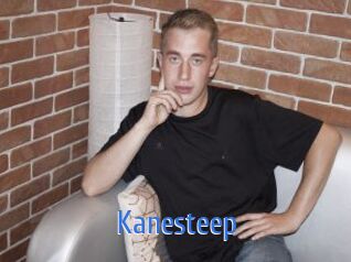 Kanesteep
