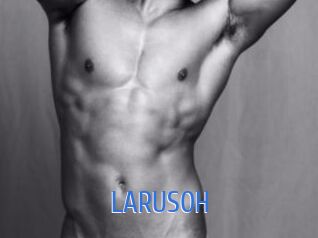 LARUSOH 12x Gay