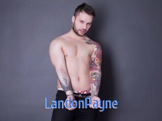 LandonPayne 12x Gay