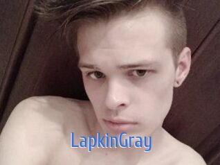 LapkinGray