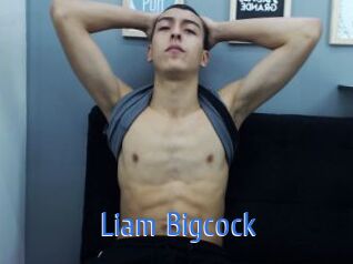 Liam_Bigcock 12x Gay