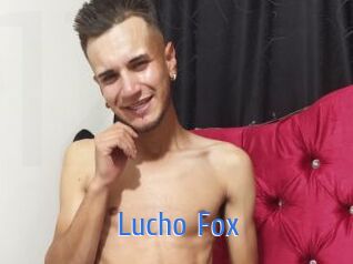Lucho_Fox 12x Gay