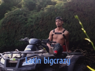 Latin_bigcrazy