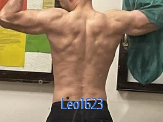 leo1623 12x Gay