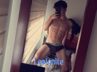 Leoignite