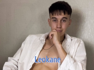 leokane 12x Gay