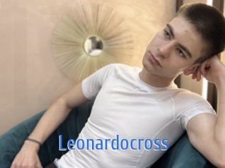 leonardocross 12x Gay
