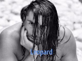 leopard 12x Gay