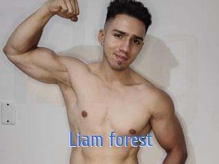 liam_forest 12x Gay