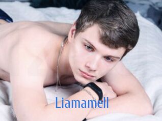 liamamell 12x Gay