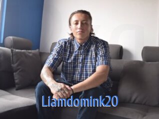 Liamdomink20