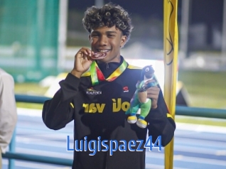 Luigispaez44