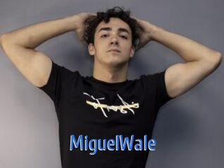 MiguelWale 12x Gay