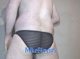 Mike_Blevins