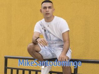 MikeSantodomingo