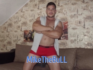 MikeTheBuLL 12x Gay