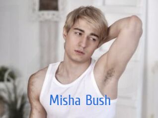 Misha_Bush