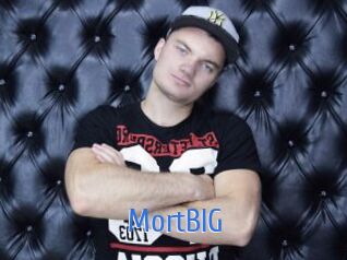 MortBIG