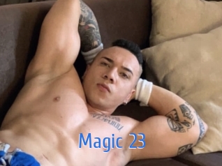 magic_23 12x Gay
