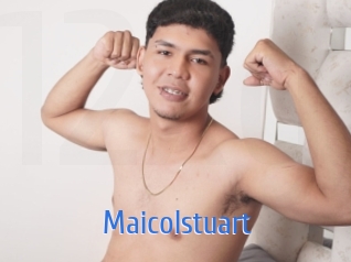 maicolstuart 12x Gay