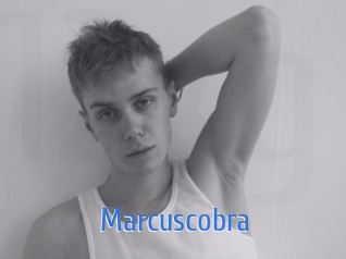 marcuscobra 12x Gay