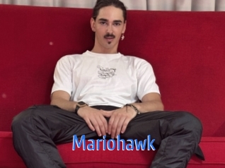 Mariohawk