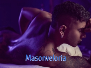 masonveloria 12x Gay