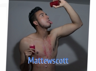 mattewscott 12x Gay