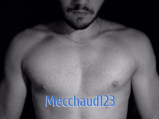 Mecchaud123